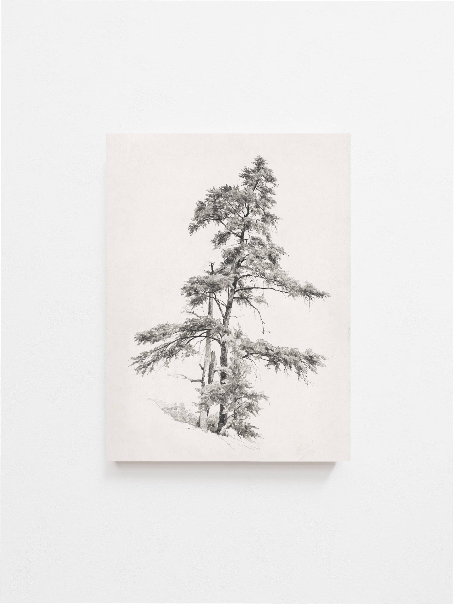 Tree Sketch Vintage Art Print