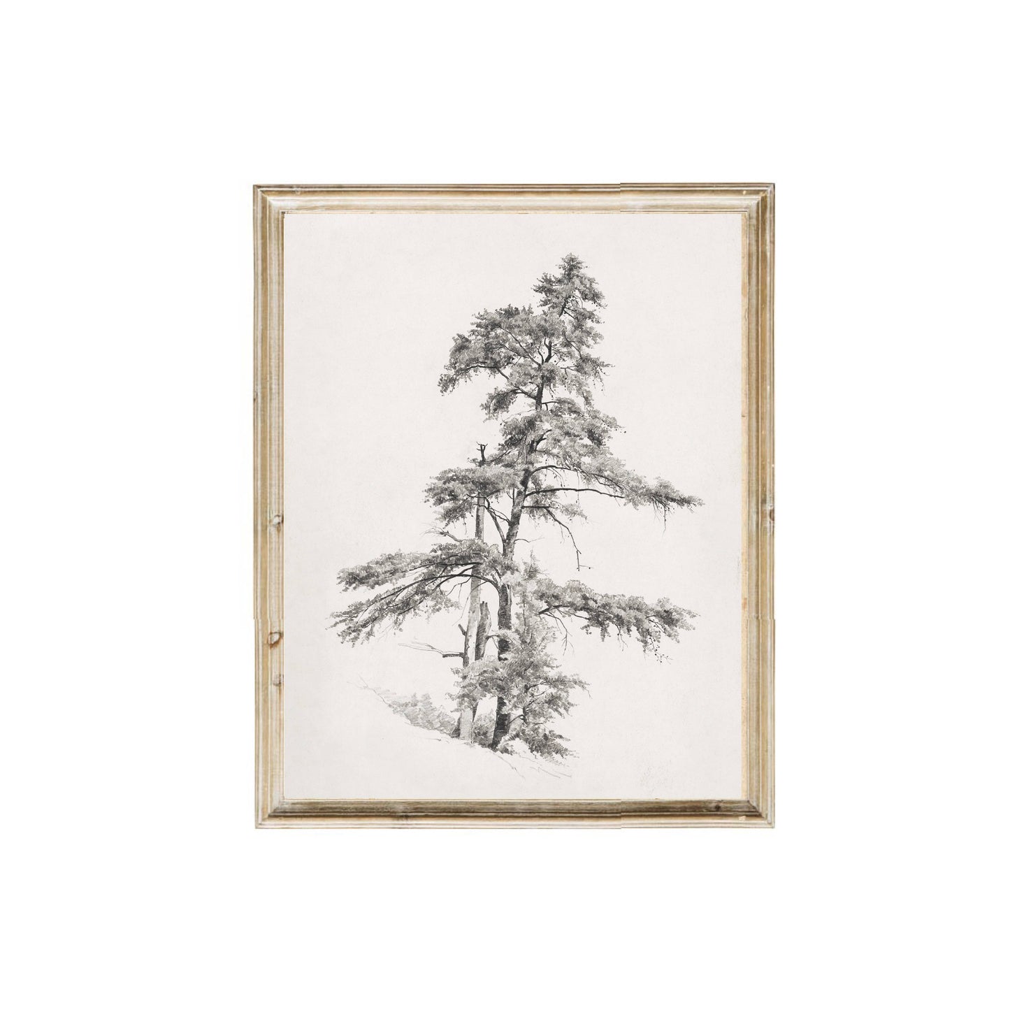 Tree Sketch Vintage Art Print