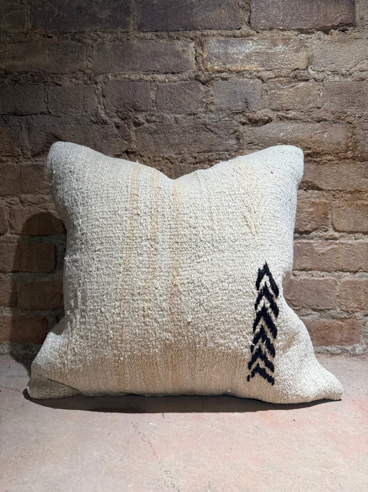 One-of-a-Kind Pillow - 22