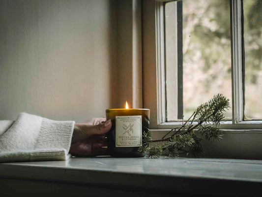 Winter Berry & Cypress | Luxury Candle