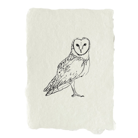 Barn owl art print