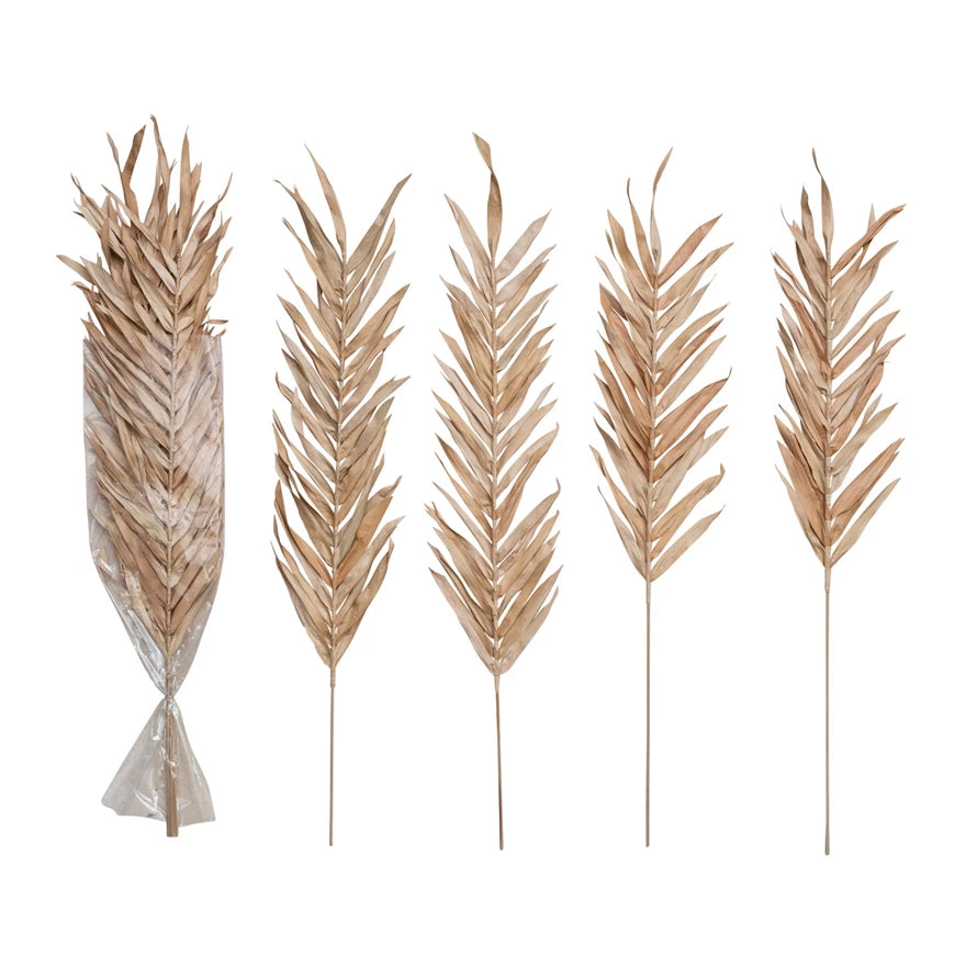 Dried Natural Fountain Palm Bunch, Blush Color, Set of 4