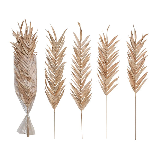 Dried Natural Fountain Palm Bunch, Blush Color, Set of 4