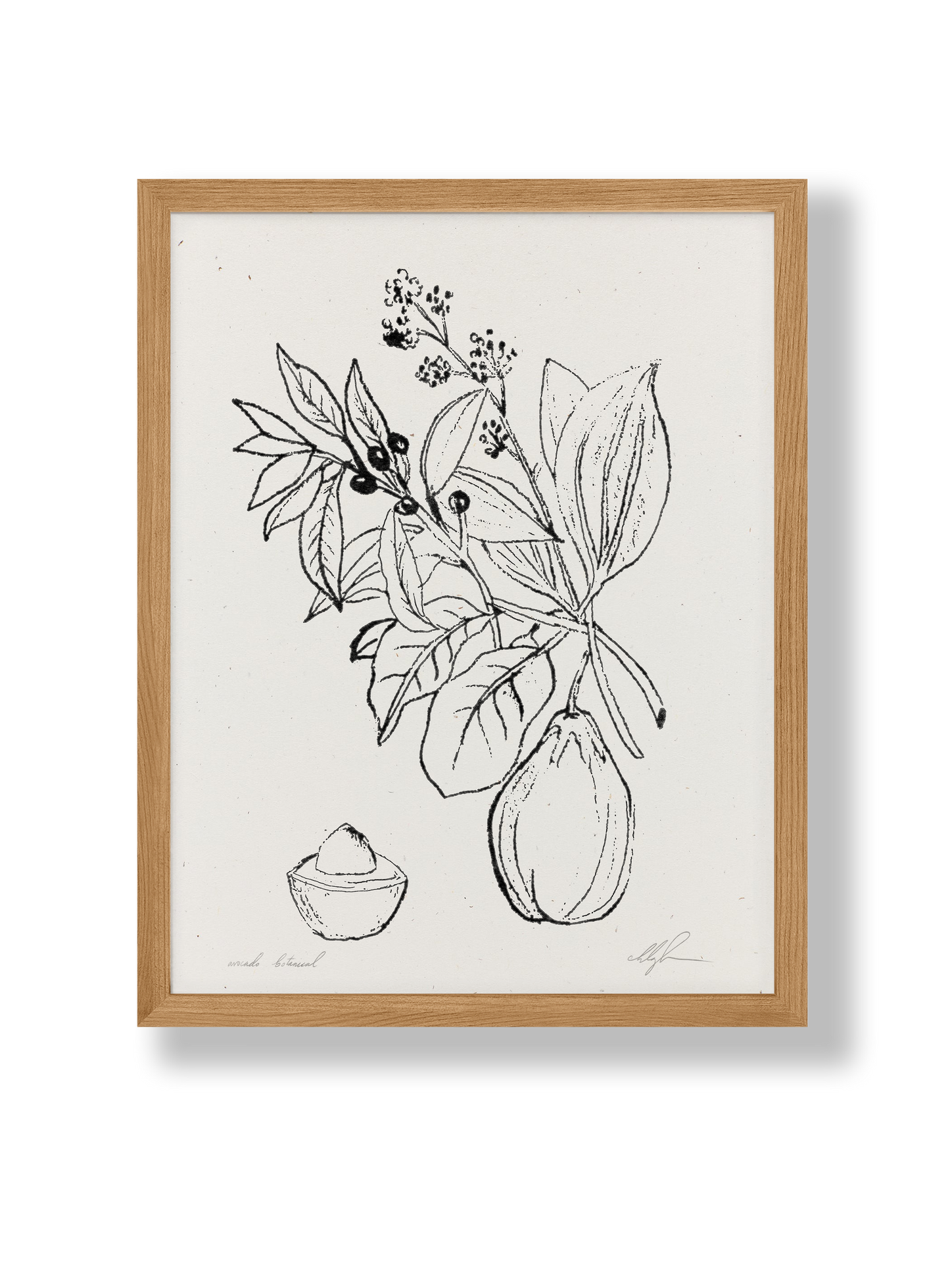 Avocado Botanical Art Print