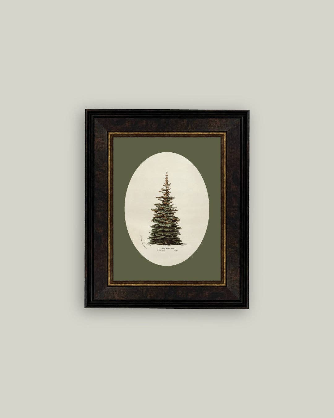 Oval Matte Tree Framed Antique Art