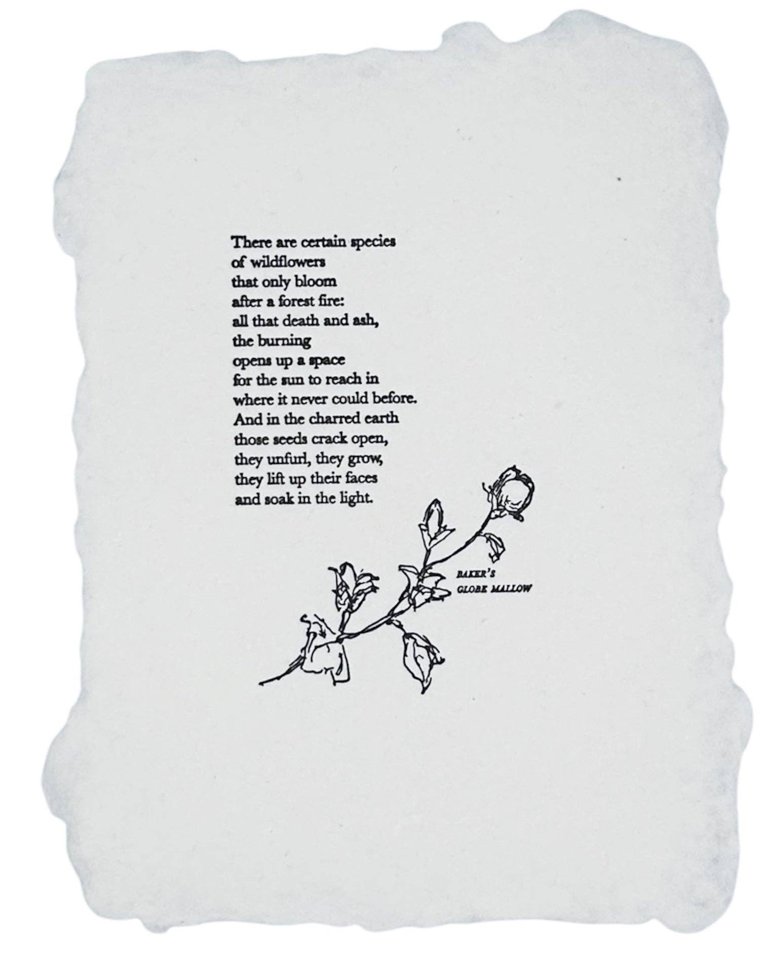 Wildflower/wildfire poem art print