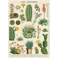 Cavallini & Co. Wrap - Succulents