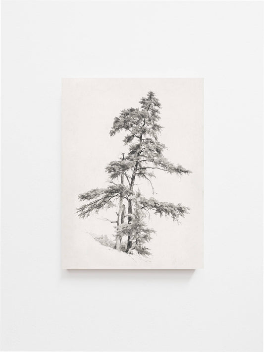 Tree Sketch Vintage Art Print