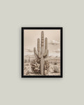 Desert Cactus Framed Antique Art
