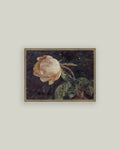 Vase with Rose