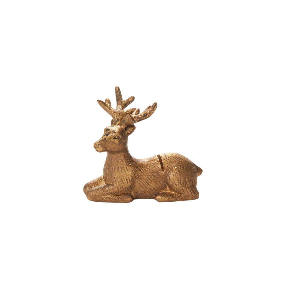 Enchanted Critter Card Holder