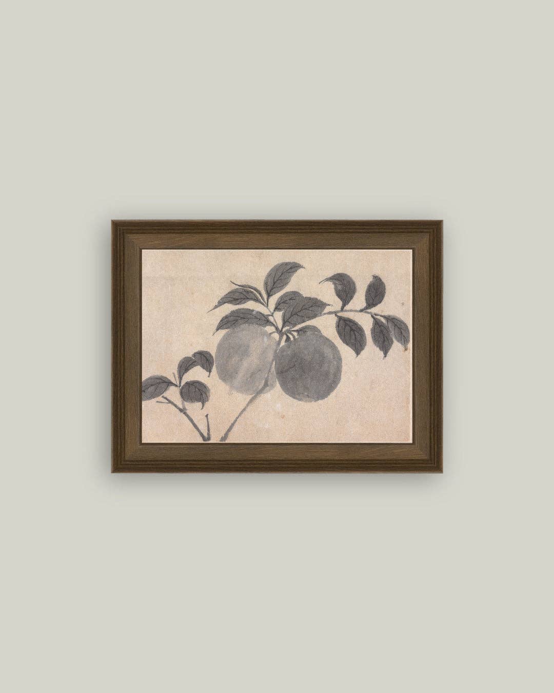 Branch of Fruit Bearing Tree Framed Antique Art