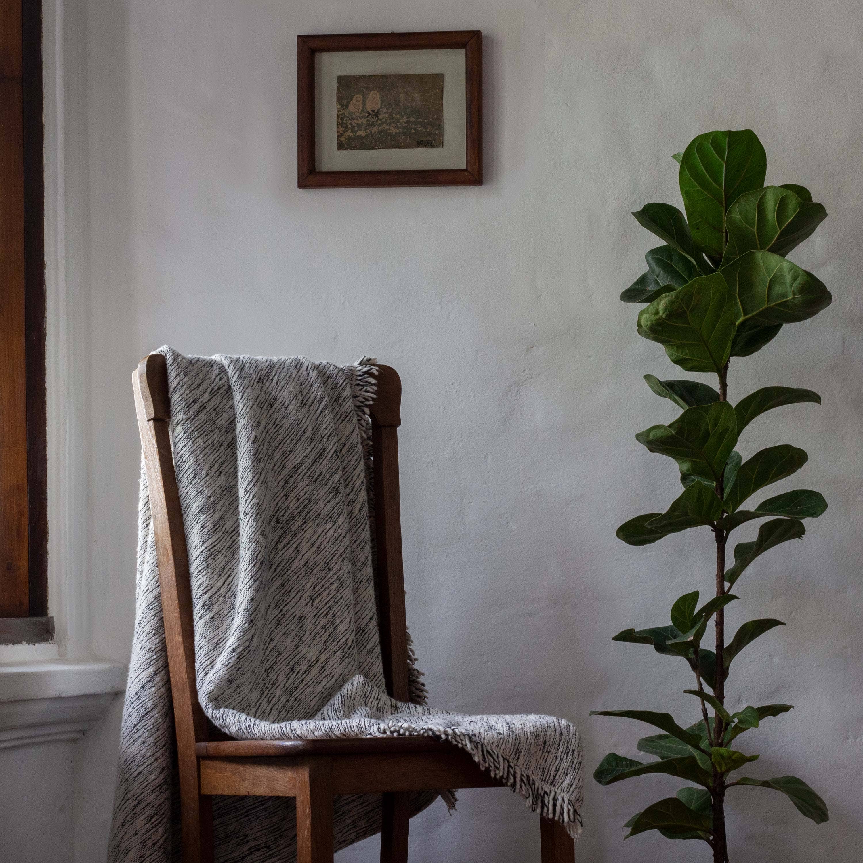 Matizado Handloomed Cotton Blanket — Ink