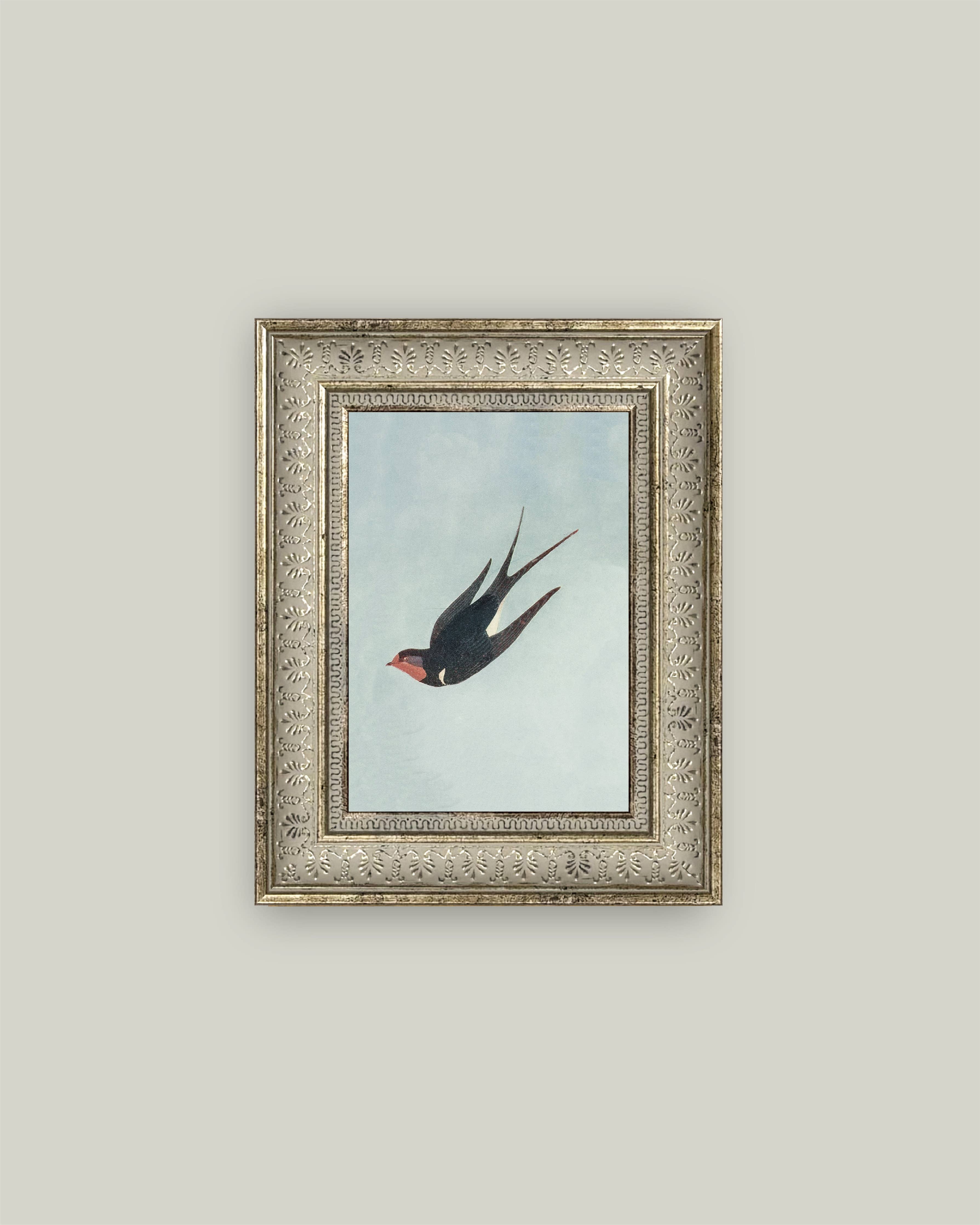 Swallow Boraston