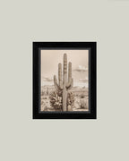 Desert Cactus Framed Antique Art