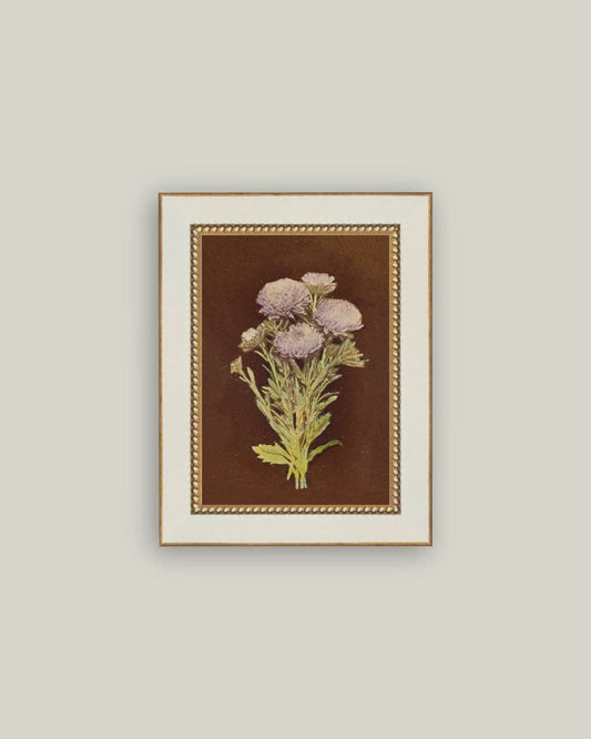 Lilac Dahlia on Brown Framed Antique Art