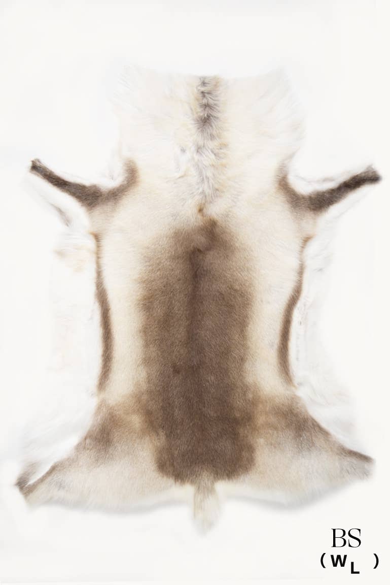 Scandinavian Reindeer Hide