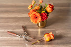 Thai Kitchen & Garden Shears