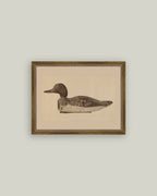 Wooden Duck Decoy Framed Antique Art