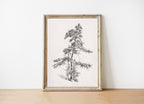 Tree Sketch Vintage Art Print