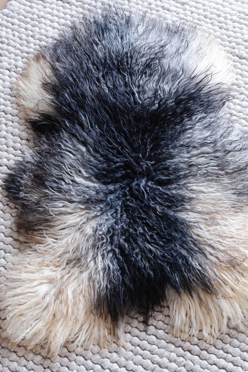 Natural Grey Icelandic Curly Sheepskin