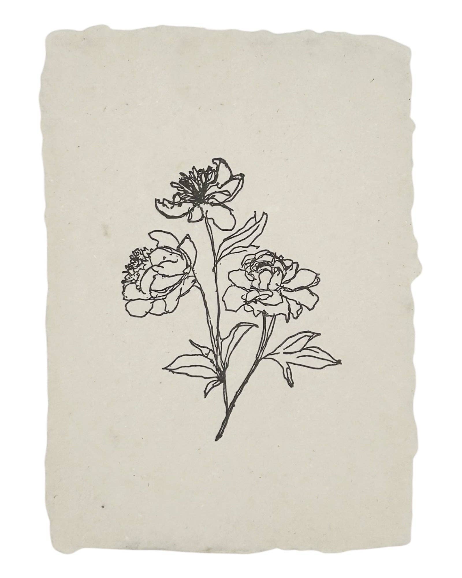Peony stems art print