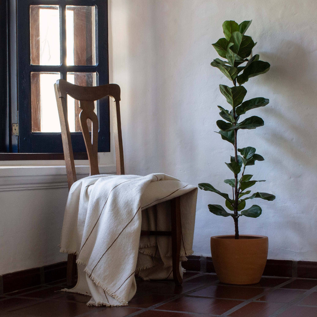 Línea Handloomed Cotton Blanket — Sepia