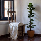 Línea Handloomed Cotton Blanket — Sepia