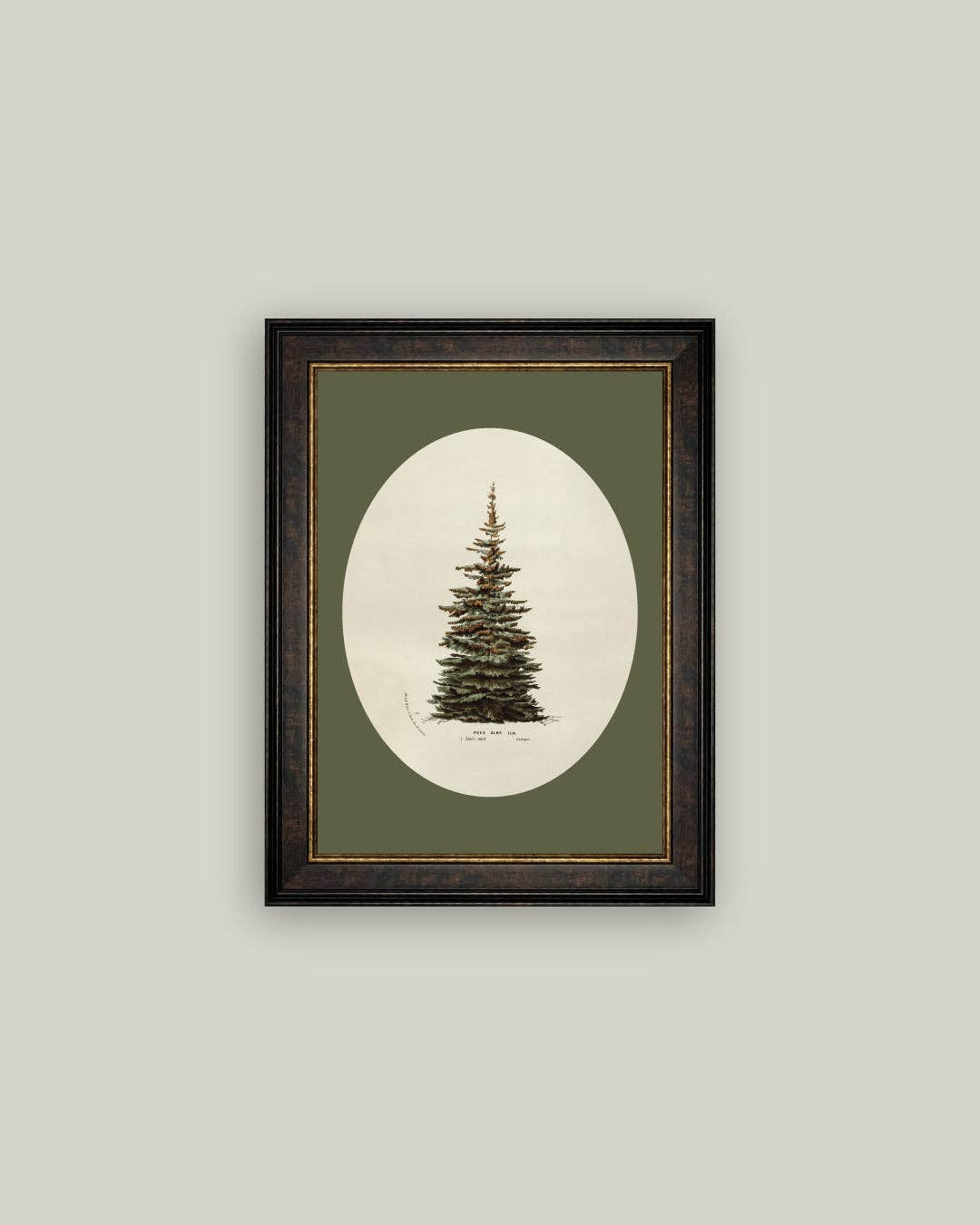 Oval Matte Tree Framed Antique Art
