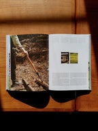 Kinfolk Wilderness