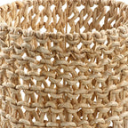 Bellus Basket