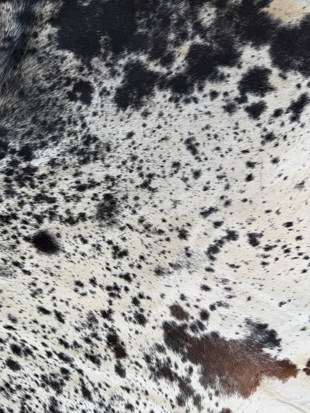 Authentic Brazilian Cowhide Rug