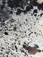 Authentic Brazilian Cowhide Rug