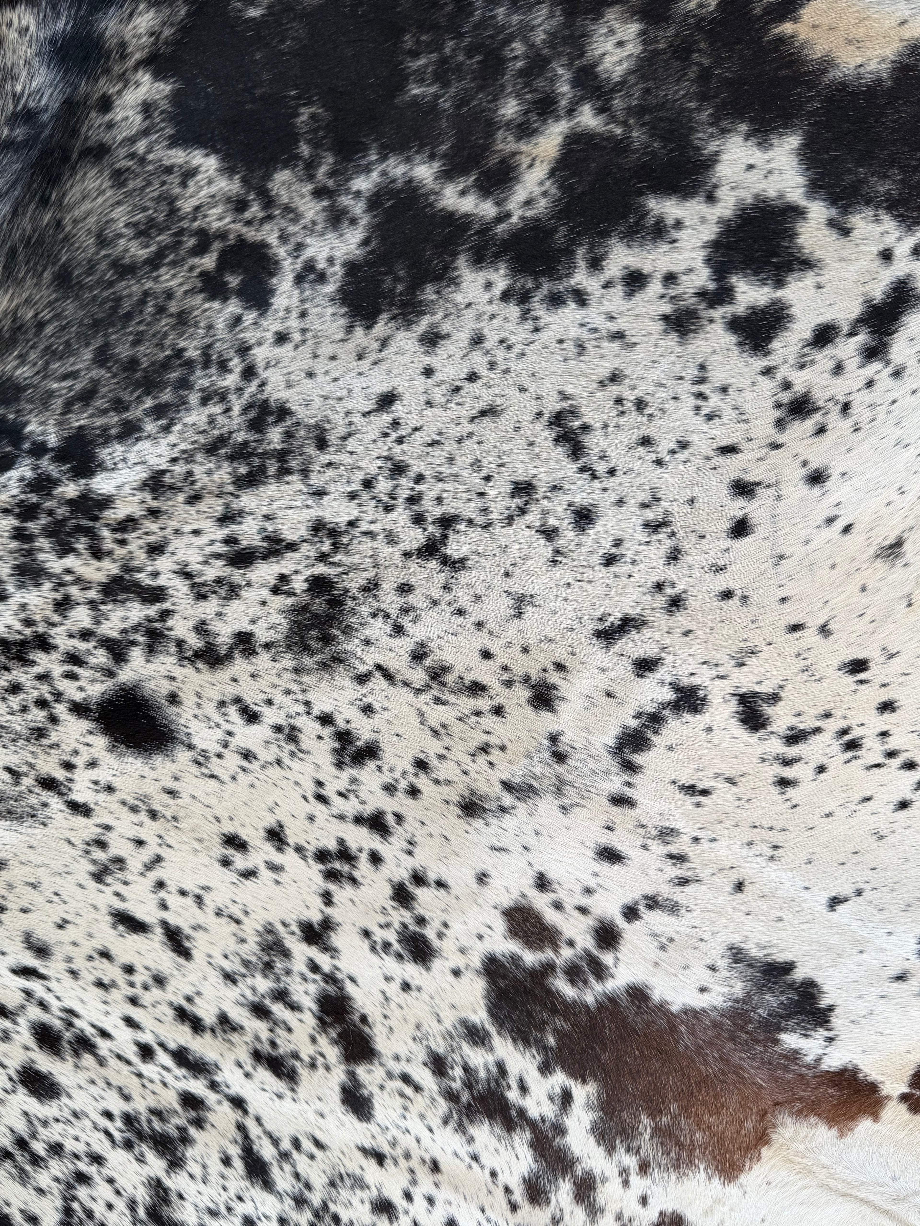 Authentic Brazilian Cowhide Rug