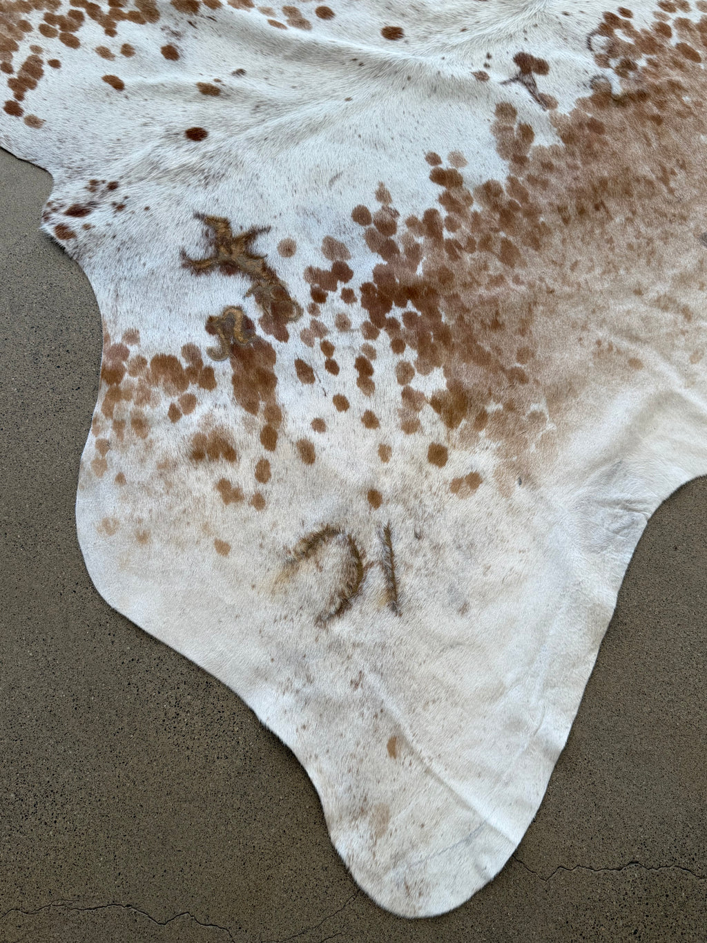 Authentic Brazilian Cowhide Rug