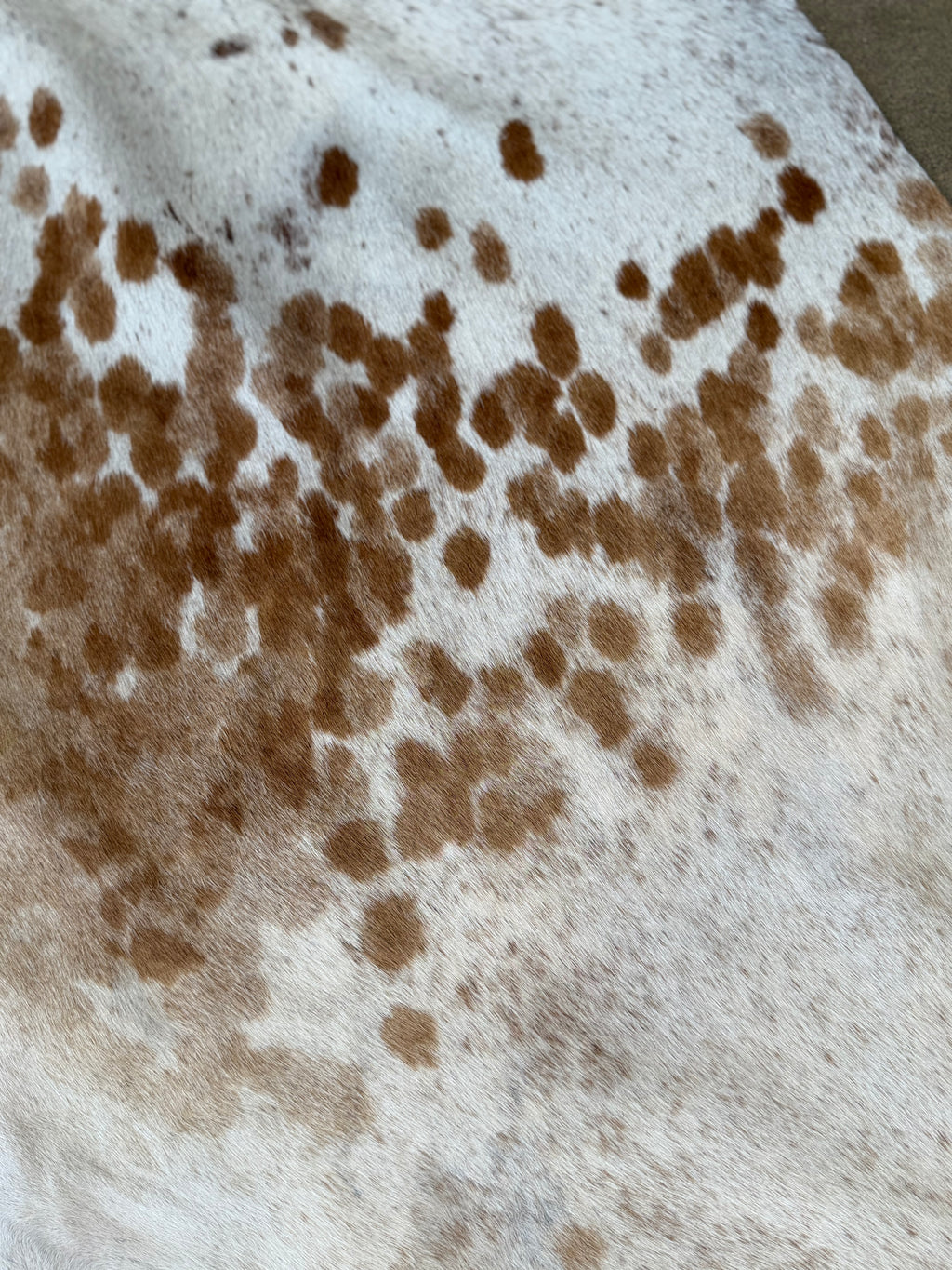 Authentic Brazilian Cowhide Rug
