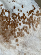 Authentic Brazilian Cowhide Rug