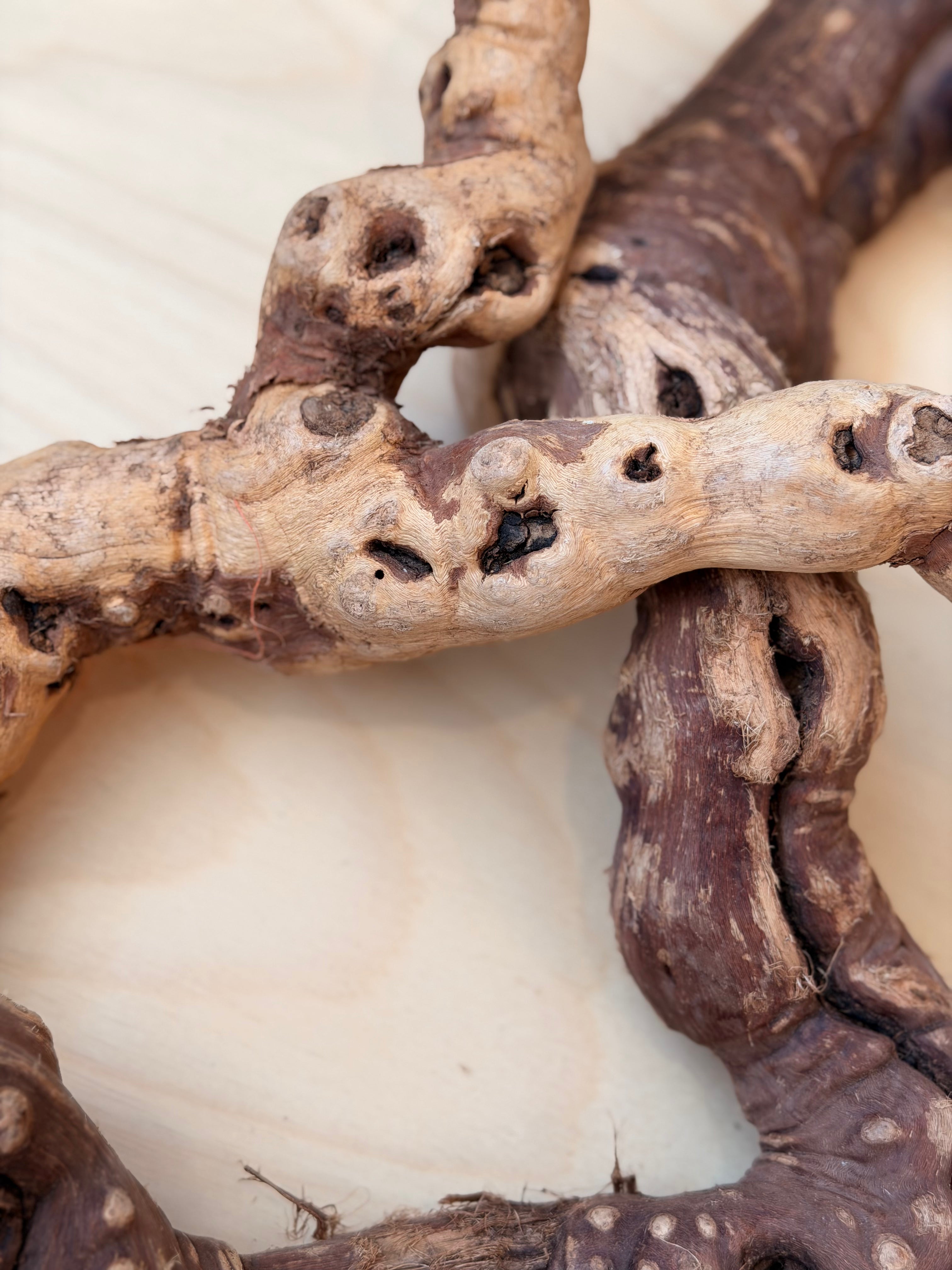 A close-up of a rustic, gnarled branch or driftwood piece with textured beige and dark brown tones, set against a light wood background.