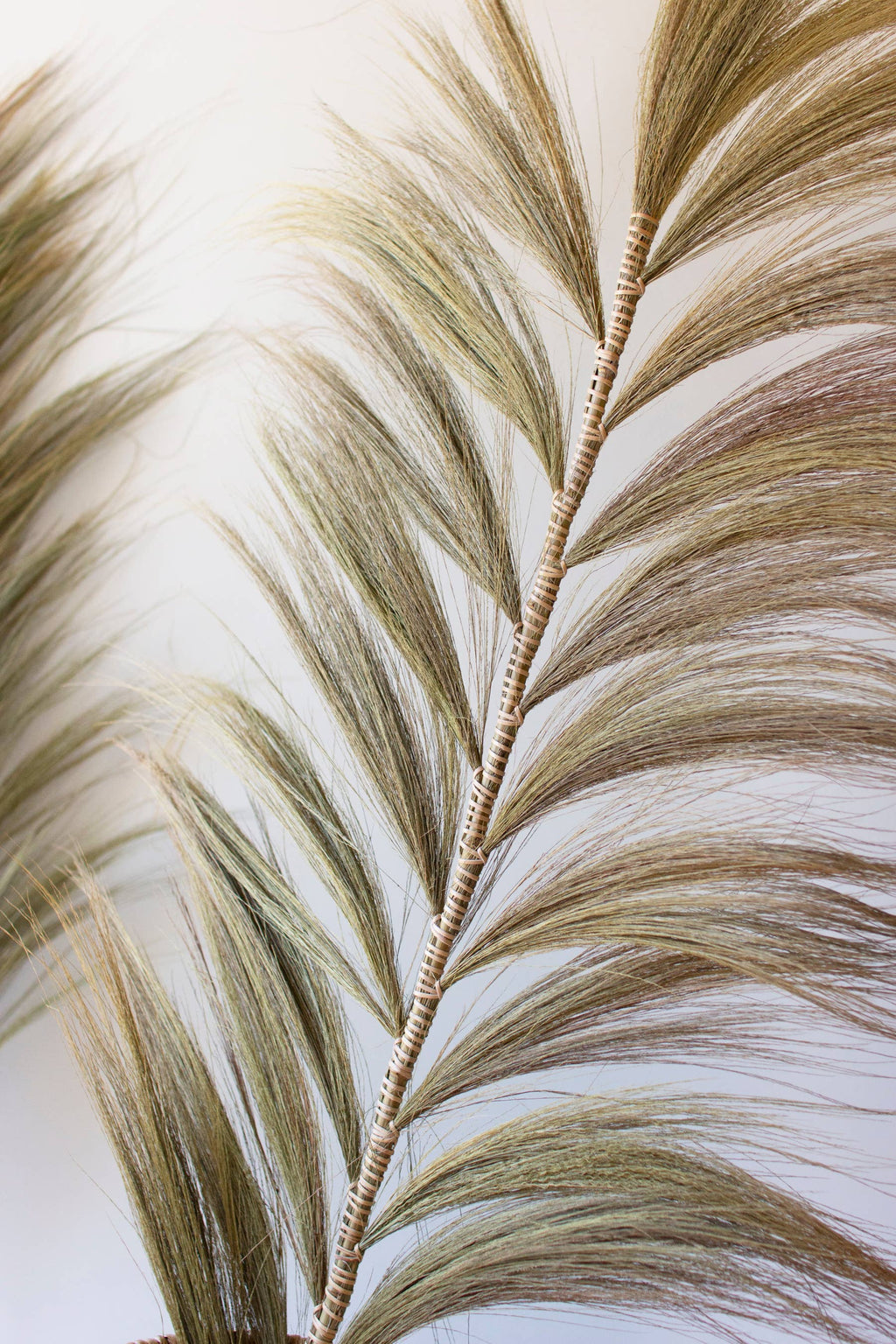Handmade Fan Palm