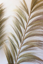 Handmade Fan Palm