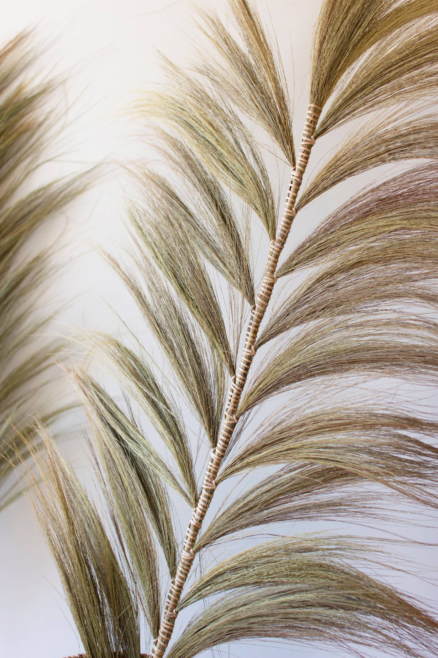 Handmade Fan Palm