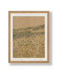 Field of 70's Art Print
