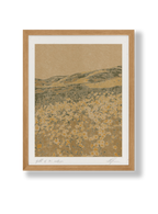Field of 70's Art Print