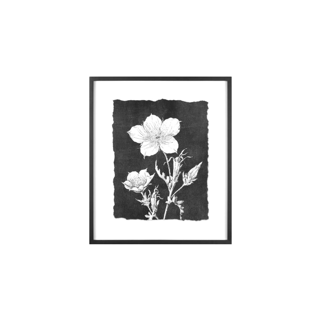 Botanical Wall Art