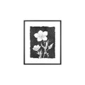 Botanical Wall Art