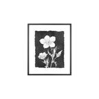 Botanical Wall Art