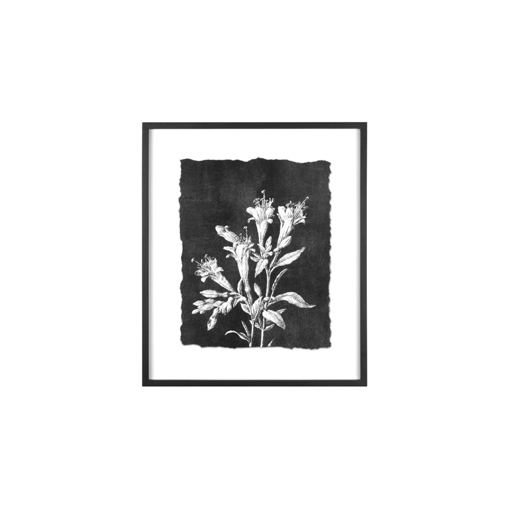Botanical Wall Art
