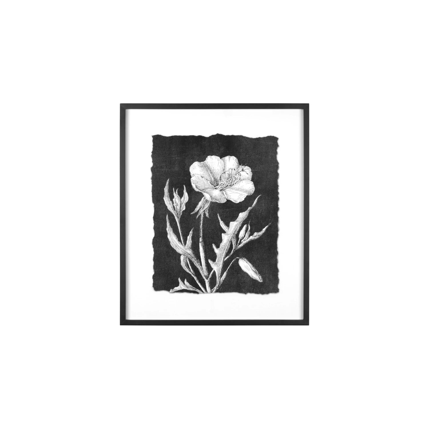 Botanical Wall Art
