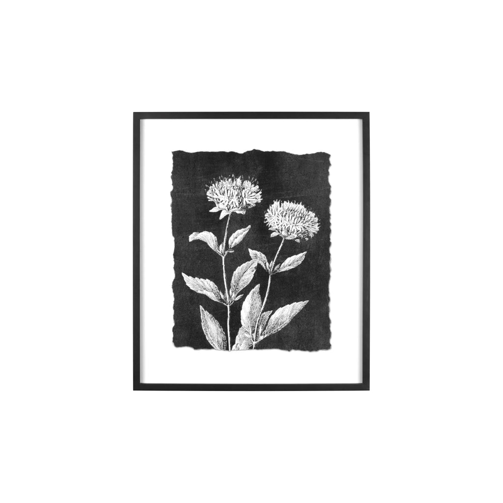 Botanical Wall Art