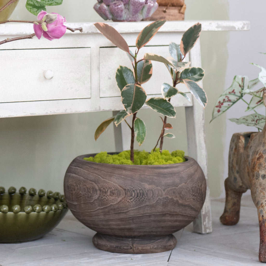 Paulownia Wood Planter